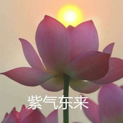 佣兵地下城手游bt版下载